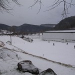 Ice on Fairgrounds